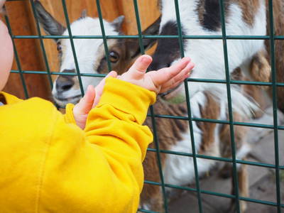 Bild 17 aus  Ferienhof Wübbold