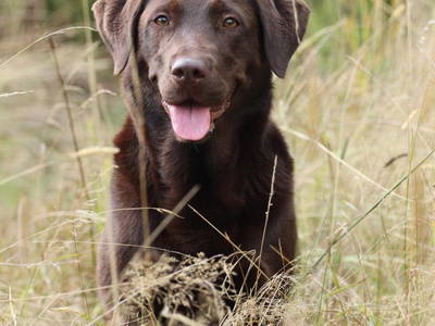 Bild 18 aus  Backhaus Grüntal