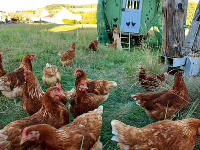 Bild 32 aus  Ferienhof Dingeldey