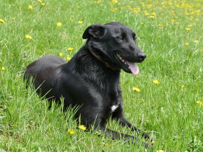 Bild 16 aus  Boznermüllerhof