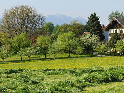 Bild 6 aus  Köllhof
