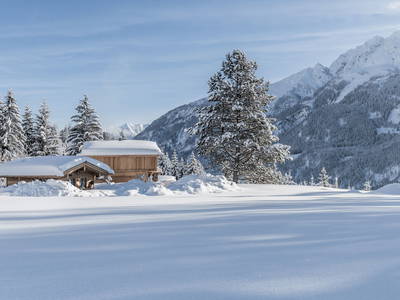 Bild 26 aus  Benglerwald Berg Chaletdorf