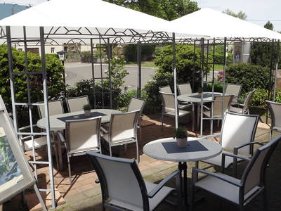 Bild 12 aus  Ferienweingut Becker