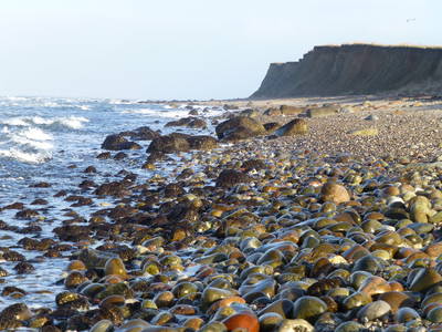 Bild 15 aus  Ferienhaus Achterdeck