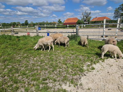 Bild 15 aus  Hof Janssen