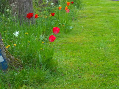 Bild 18 aus  Kleyhauers Ferienbauernhof