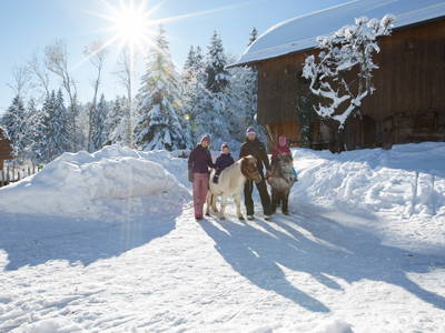 Bild 22 aus  LandSelection Bussjägerhof