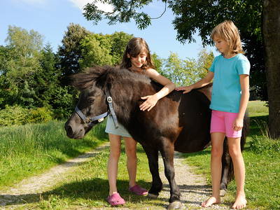 Bild 14 aus  Edmeierhof