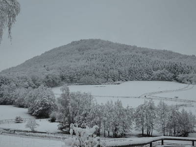 Bild 27 aus  LandSelection LANDGUT PFAUENHOF