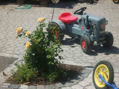 Bild 11 aus  Zacherlhof