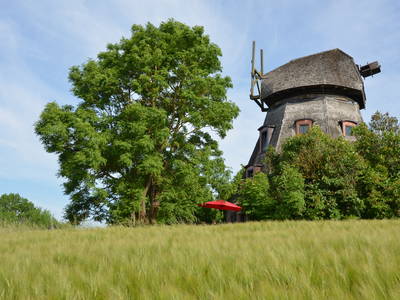 Bild 14 aus  Schamper Mühle