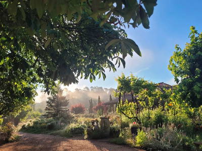 Bild 9 aus  Une Campagne en Provence