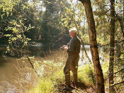 Bild 8 aus  Pension Eichenhof , Räderloh