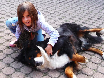 Bild 7 aus  Ferienhof Dingeldey