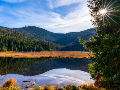 Bild 35 aus  Arber Lofts