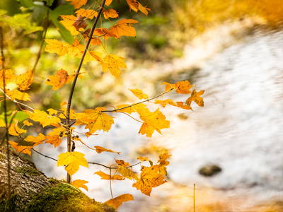 Bild 54 aus  Gut Neuwerk