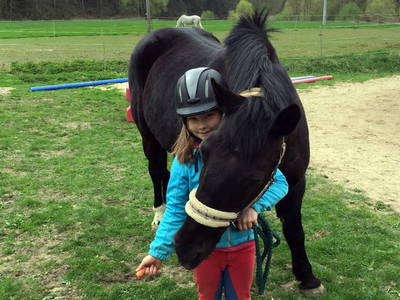 Bild 19 aus  Steinermühle