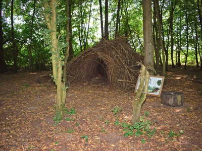 Bild 24 aus  Baumhotel Auszeit