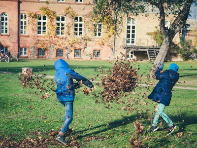 Bild 23 aus  Gut Pohnstorf