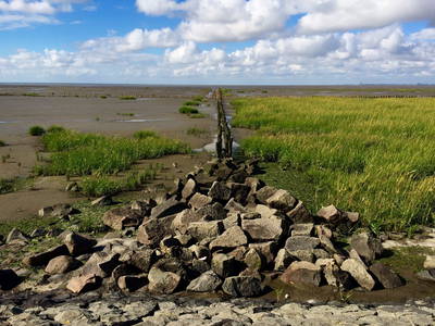 Weltnaturerbe Wattenmeer