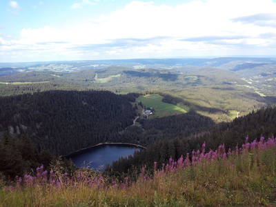 Blick vom Feldberg zum Feldsee