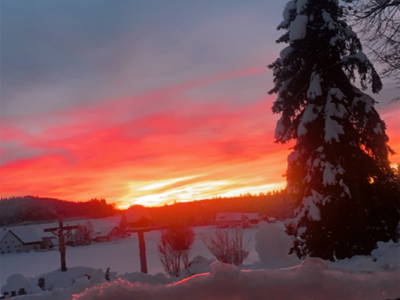 Bild 9 aus  Ferienhof Allgäumoos