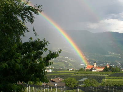 Bild 3 aus  Schlecht`n Hof