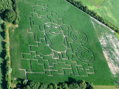 Bild 33 aus  Ferien & Freizeithof Meutstege