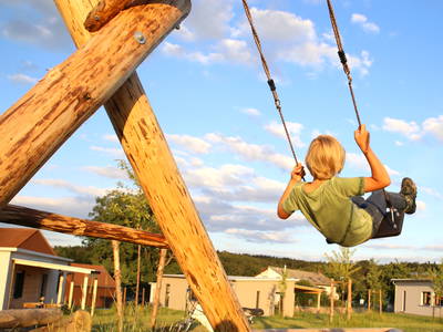 Bild 64 aus  Hollweck's Landoase