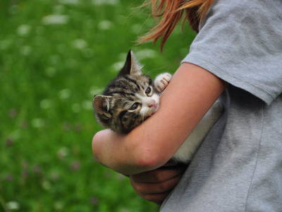 Bild 8 aus  Biobergbauernhof Garmesegg