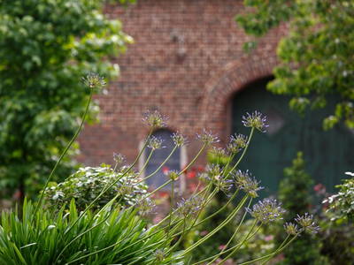 Bild 4 aus  Ferienwohnung am Halderner Wald