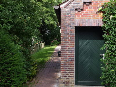 Bild 19 aus  Nase im Wind