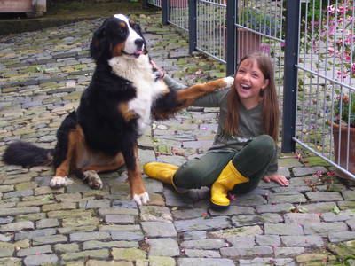 Bild 18 aus  Schneidmühle