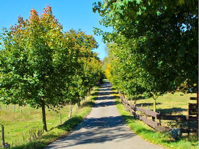 Bild 3 aus  Steinäckerhof
