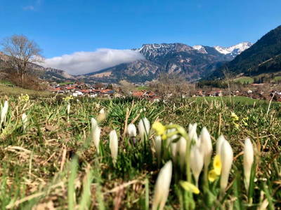 Bild 12 aus  Ferienwohnung Landhaus Waltner