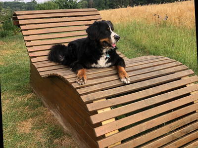 Bild 44 aus  Ferienhof Dingeldey