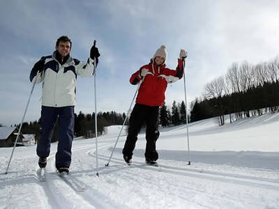 Bild 29 aus  natürlich urlauben - Bauernhof Gründinger