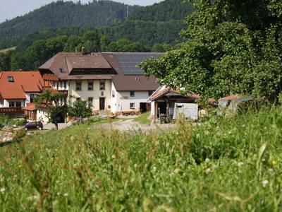 Bild 2 aus  Maierhof