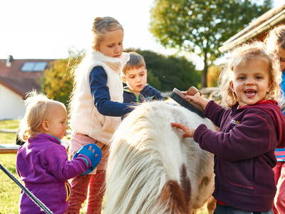 Bild 22 aus  Ferienhof Stetter