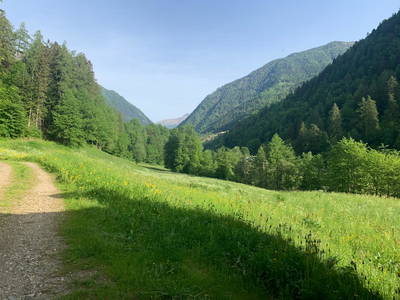 Bild 5 aus  El Mas Roxi