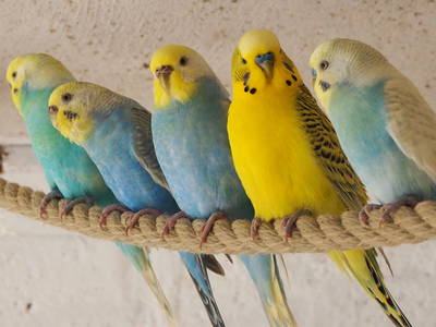 Bild 42 aus  Hinrich's Ostsee Bauernhof