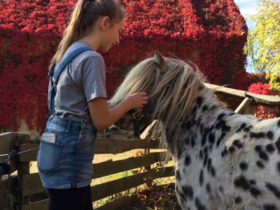 Bild 24 aus  Luminohof