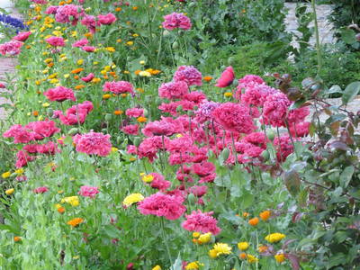 Bild 33 aus  Gut Sommereichen