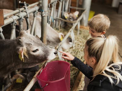 Bild 45 aus  Gogerer Hof