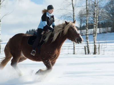 Bild 13 aus  Ferienhof Bauer