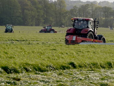 Grasernte in den Wiesen