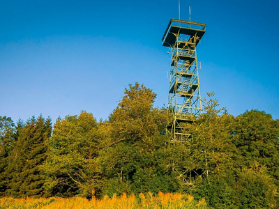 Bild 23 aus  Knödler Stadel