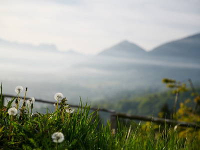 Bild 13 aus  Koglhof