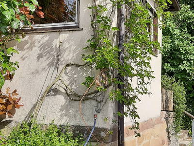 Bild 10 aus  Urige Hütte zwischen Wald und Reben