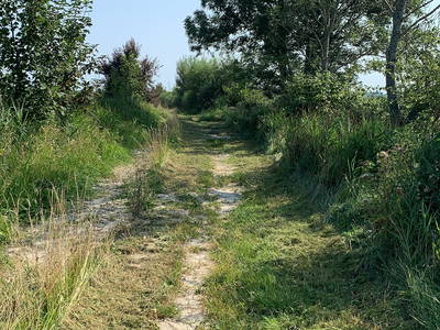 Bild 25 aus  Renas Ferienhof